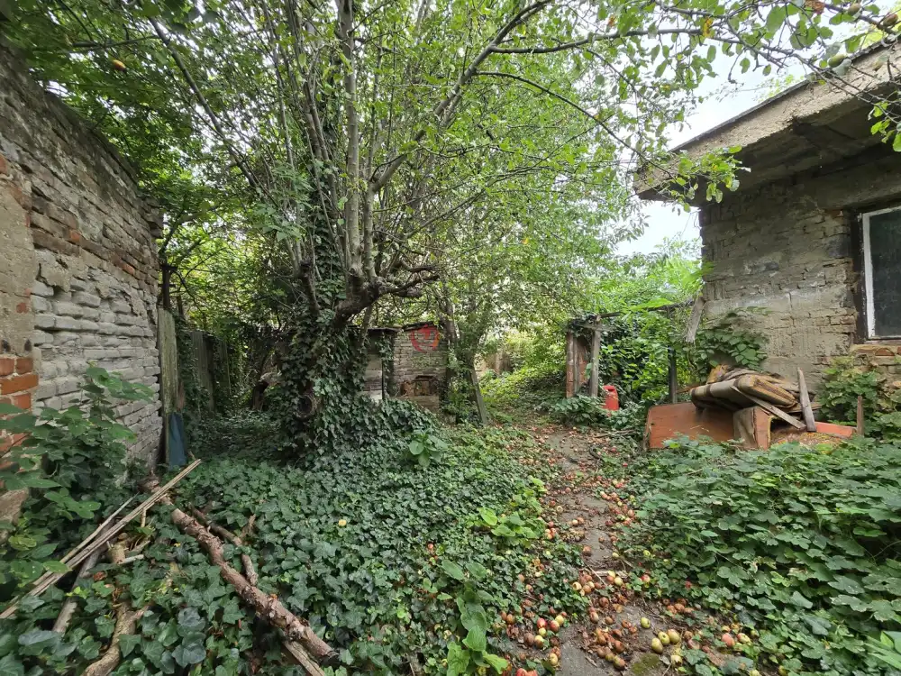 Pest megye - Vác