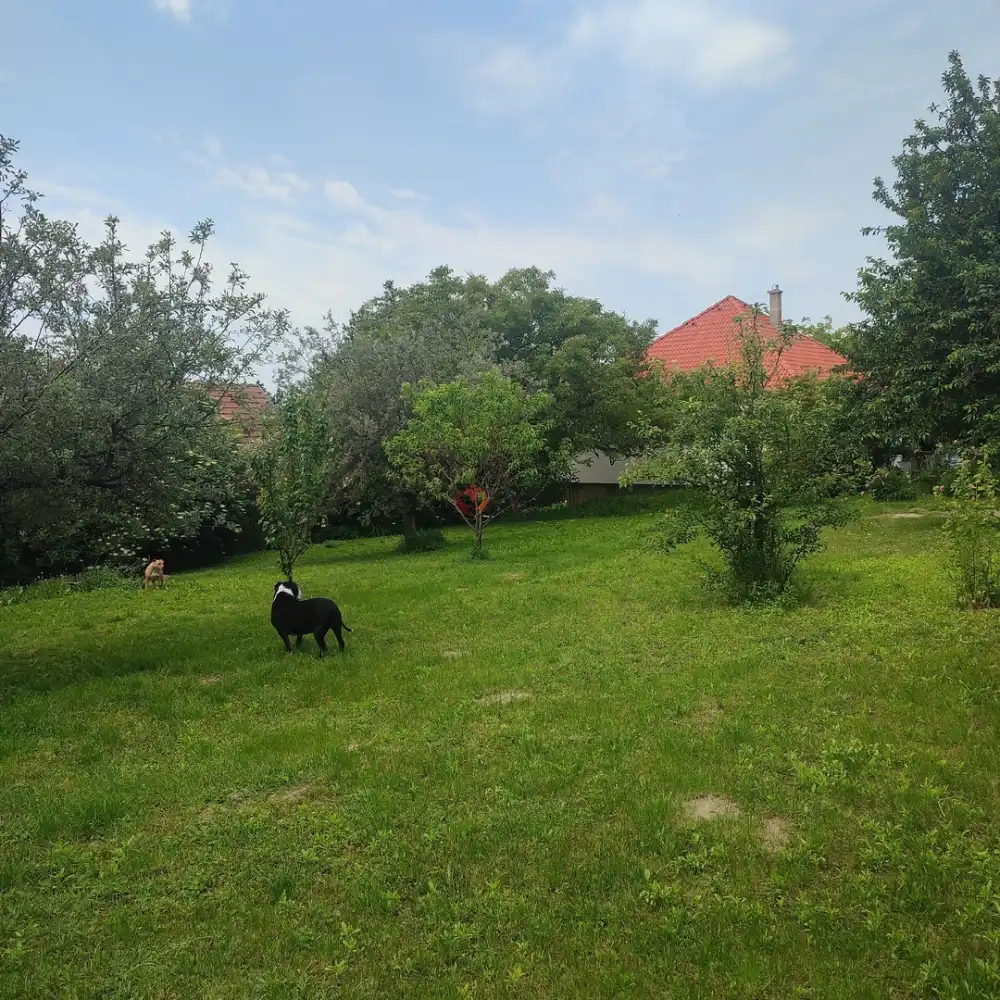 Pest megye - Vác