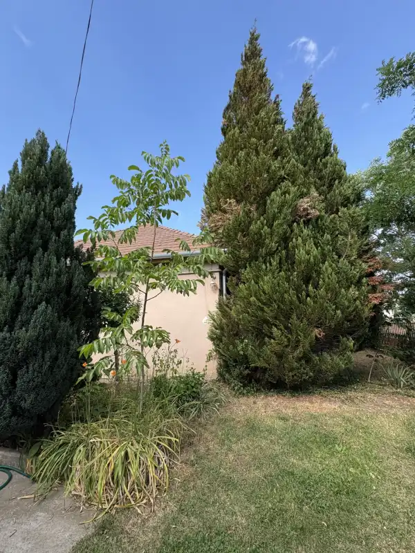 Eladó családi ház, Vámosmikola 4 szoba 110 m² 32.5 M Ft