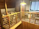 Pest megye - Verőce
