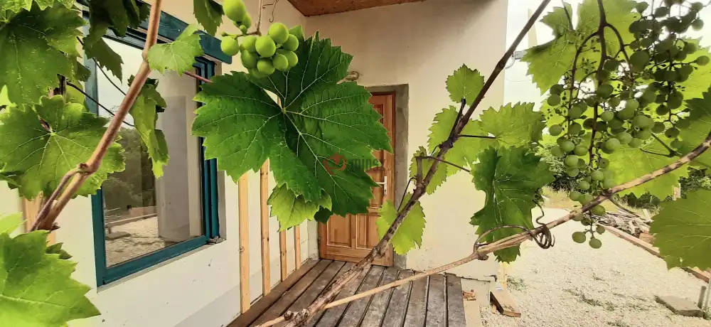Pest megye - Verőce