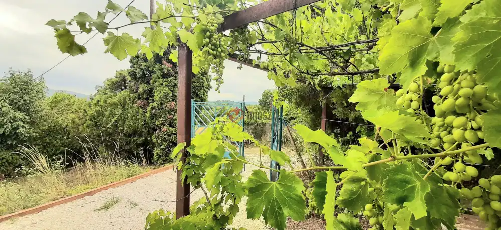 Pest megye - Verőce