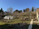 Somogy megye - Zákány