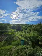 Zala megye - Zalaegerszeg
