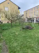 Zala megye - Zalaegerszeg