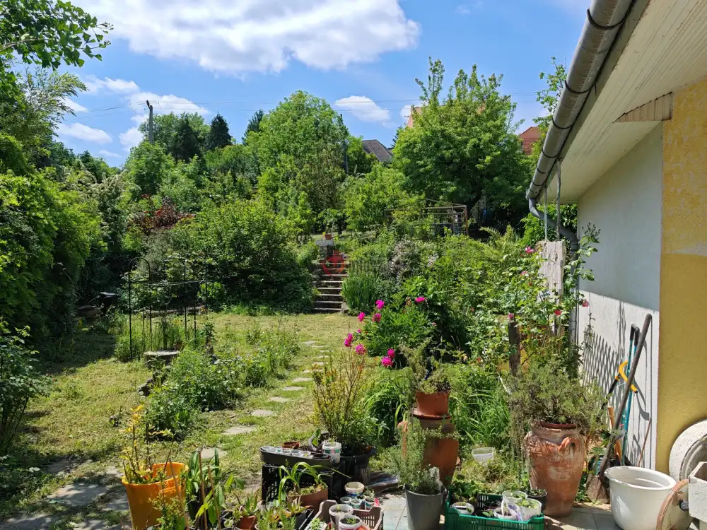 Zala megye - Zalaegerszeg