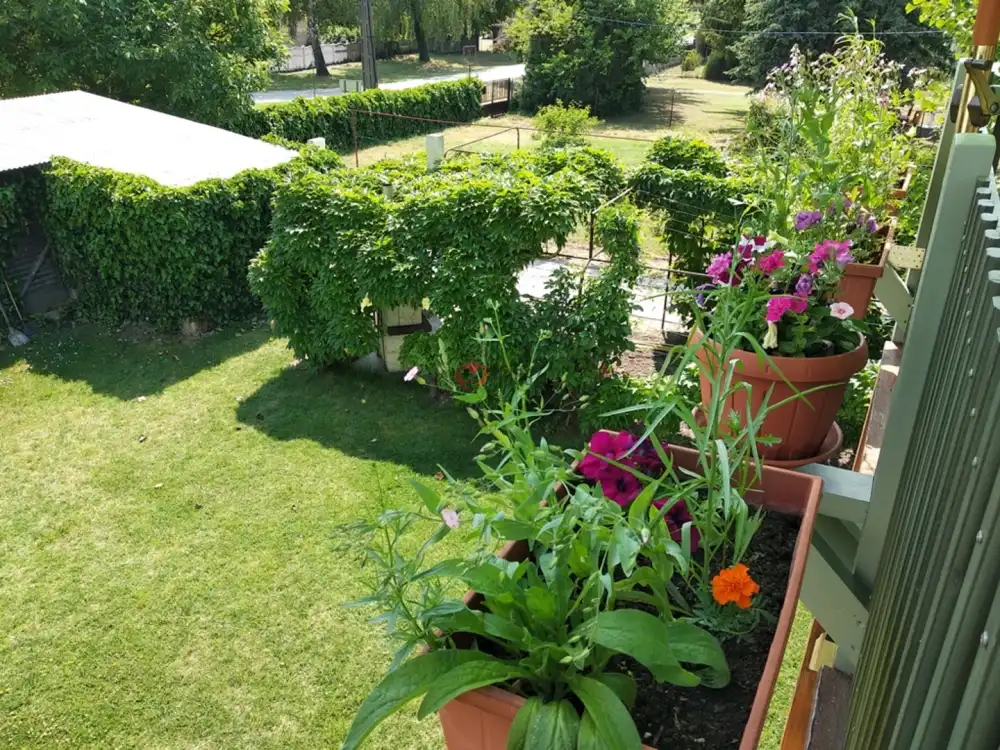 Somogy megye - Zamárdi