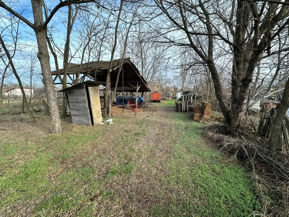 Csongrád megye - Zsombó