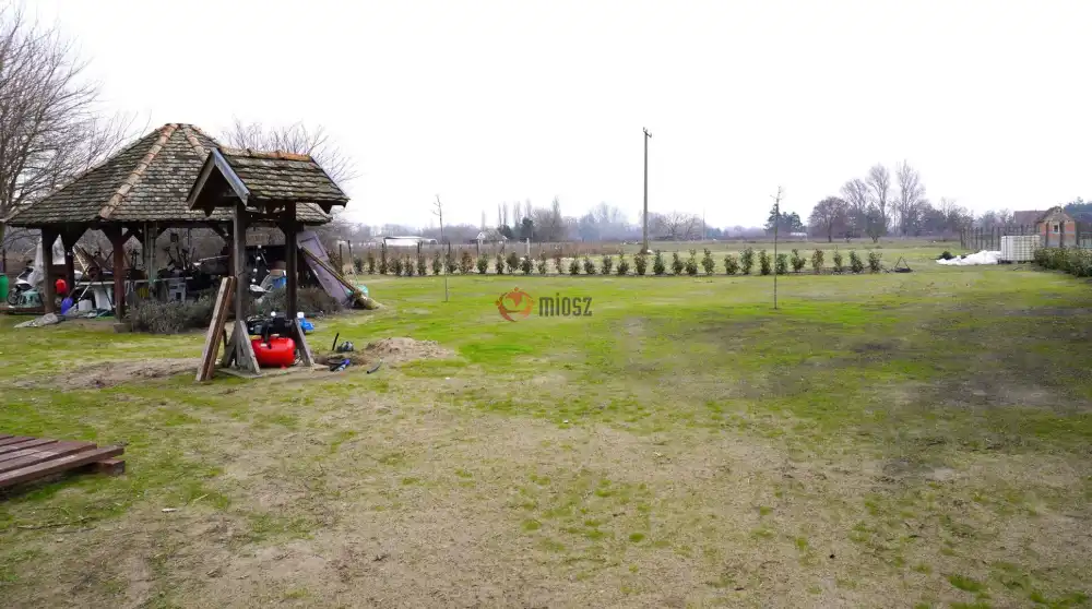 Csongrád megye - Zsombó