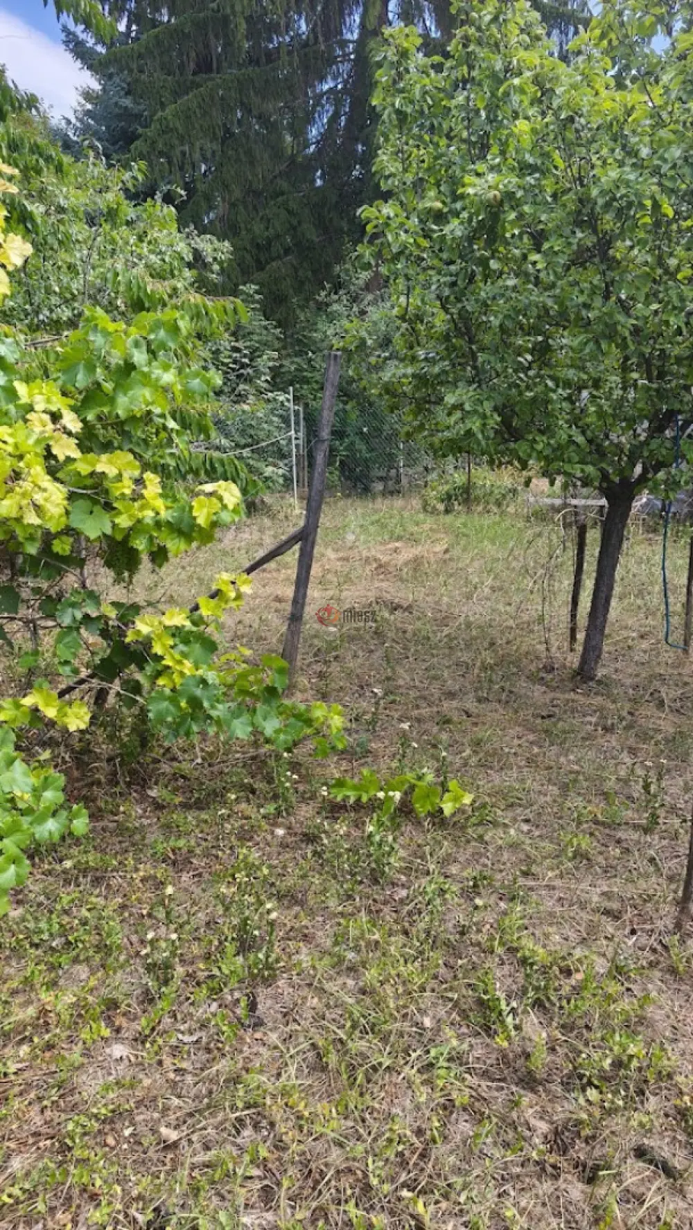 Pest megye - Budakeszi