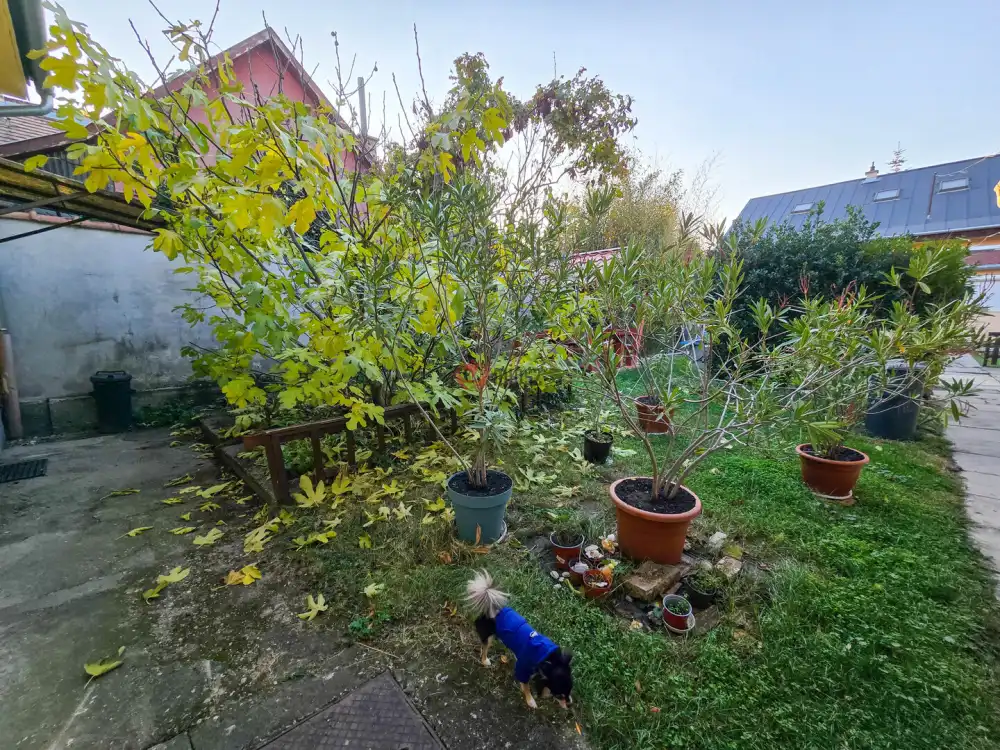 Budapest, XV. kerület - Pestújhely