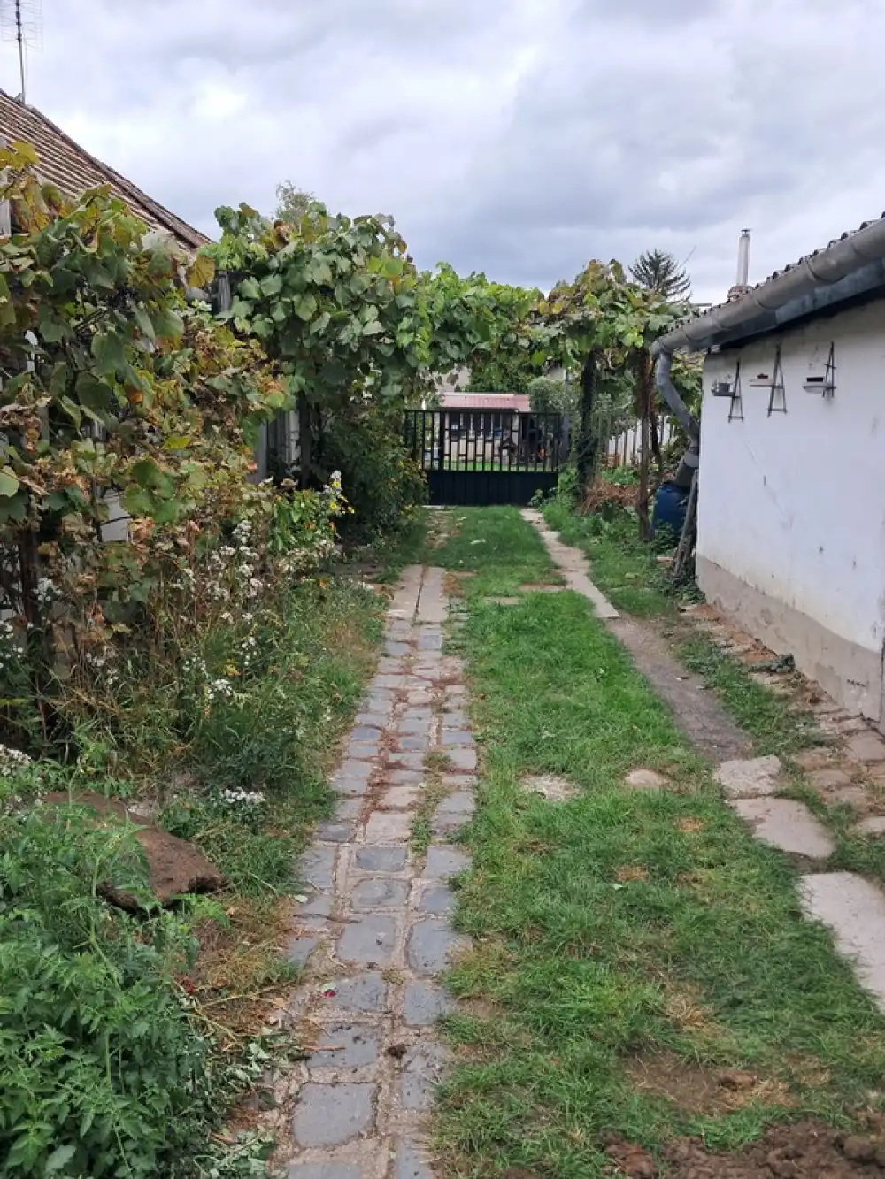 Pest megye - Verőce