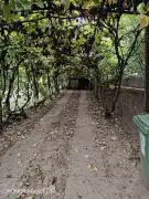 Fejér megye - Dunaújváros