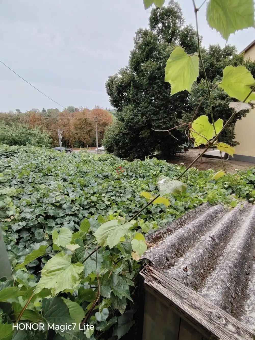 Fejér megye - Dunaújváros