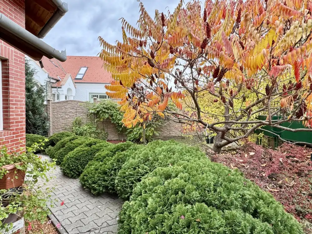 Heves megye - Felsőtárkány