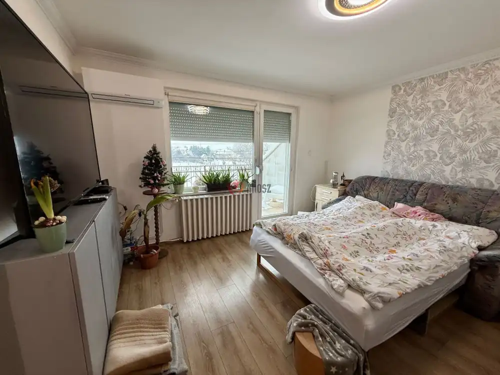 Csongrád megye - Mórahalom