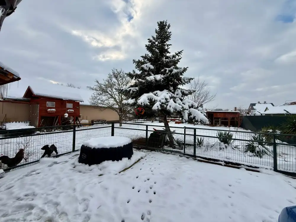 Csongrád megye - Mórahalom