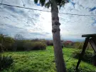 Baranya megye - Pécs