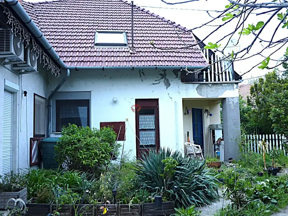 Csongrád megye - Szeged-Gyálarét