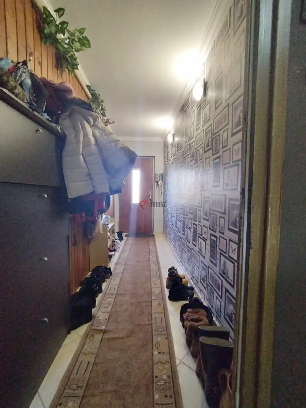 Csongrád megye - Szeged