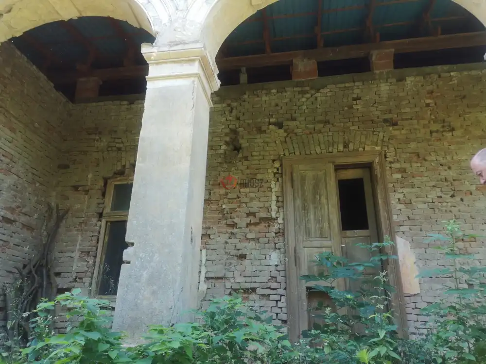 Békés megye - Orosháza