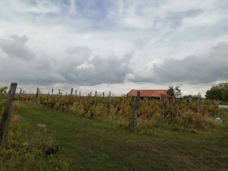 eladó mezőgazdasági ingatlan, Eger eladó mezőgazdasági ingatlan, Eger