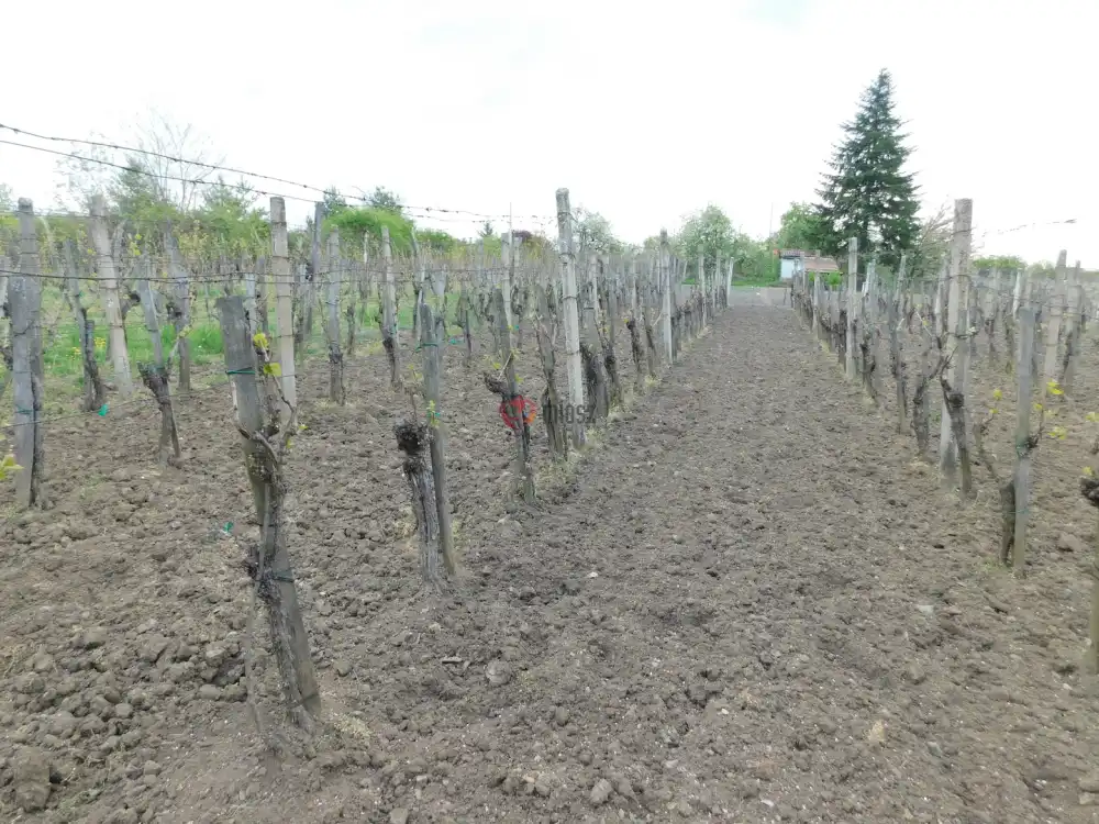 Heves megye - Andornaktálya