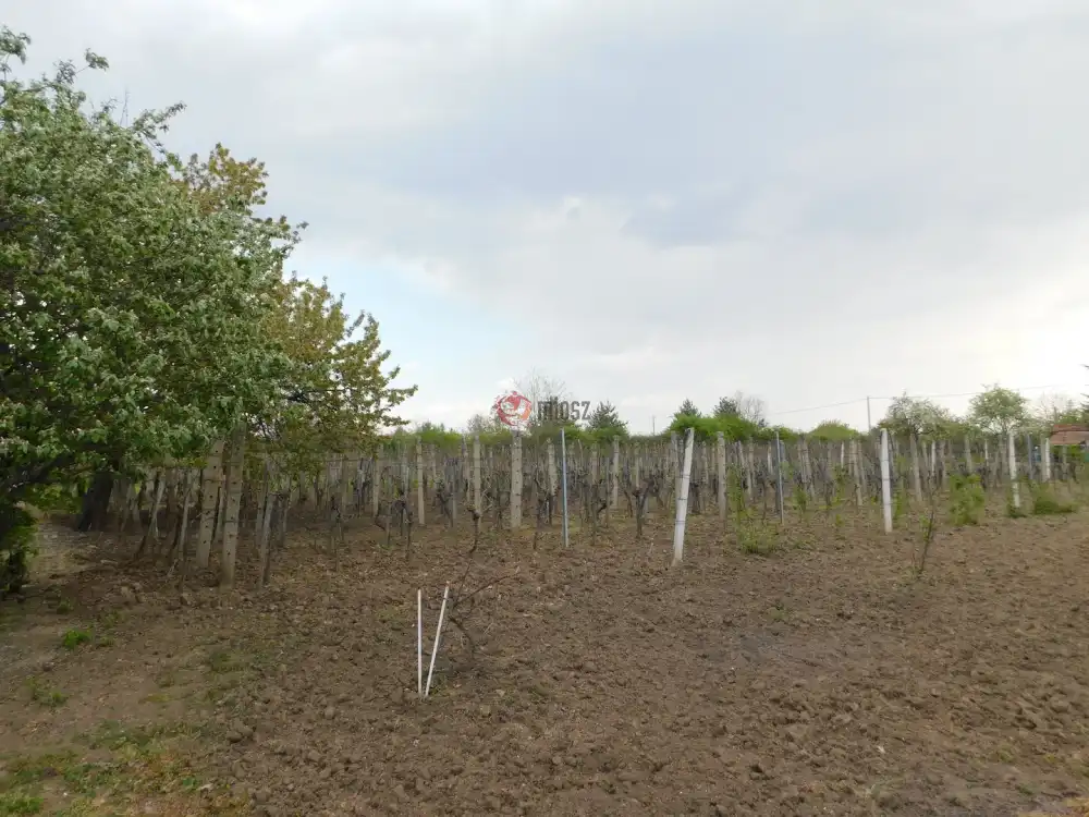 Heves megye - Andornaktálya