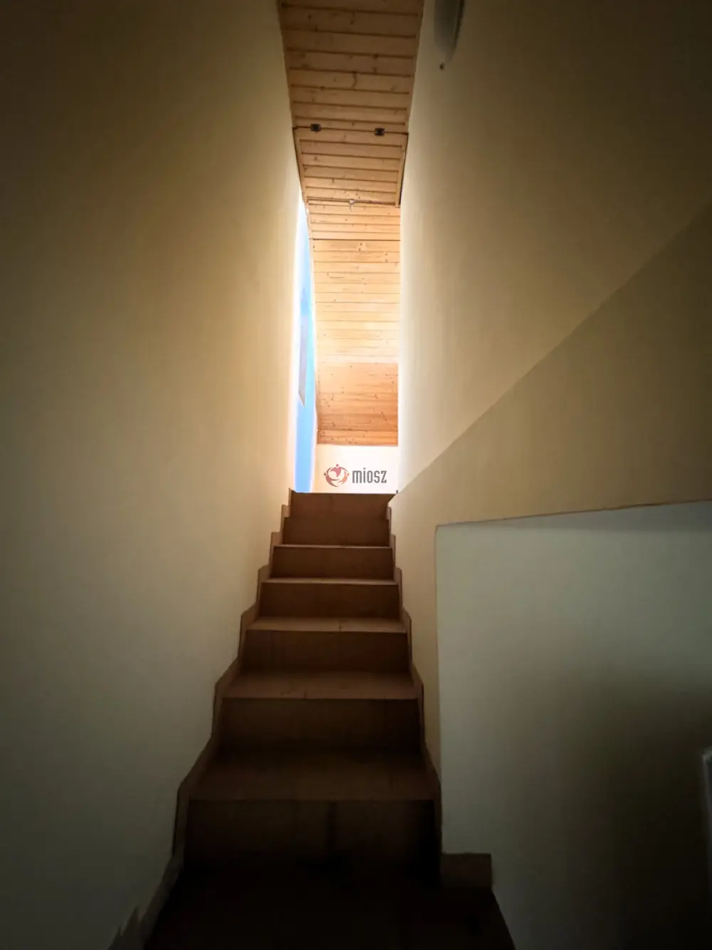 Baranya megye - Bár