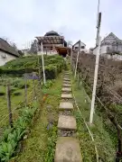 Baranya megye - Bár