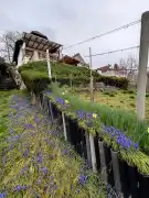 Baranya megye - Bár