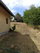 Baranya megye - Bár
