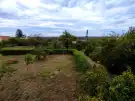 Baranya megye - Bár