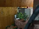 Pest megye - Csörög