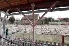 Csongrád megye - Domaszék