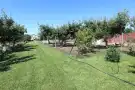 Csongrád megye - Domaszék