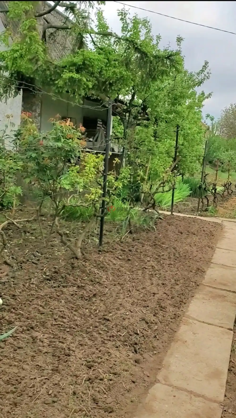 Fejér megye - Dunaújváros