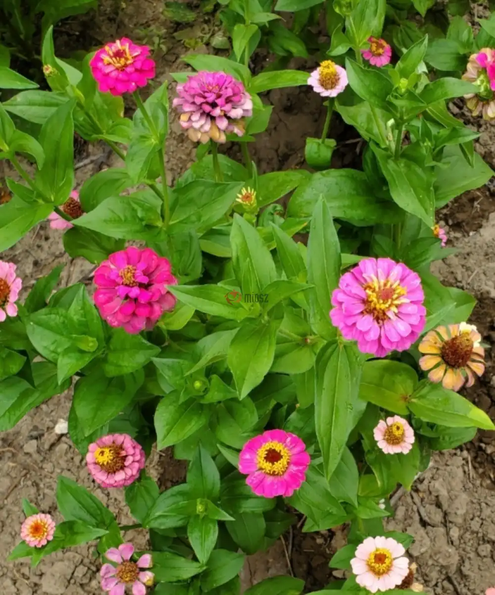 Fejér megye - Dunaújváros