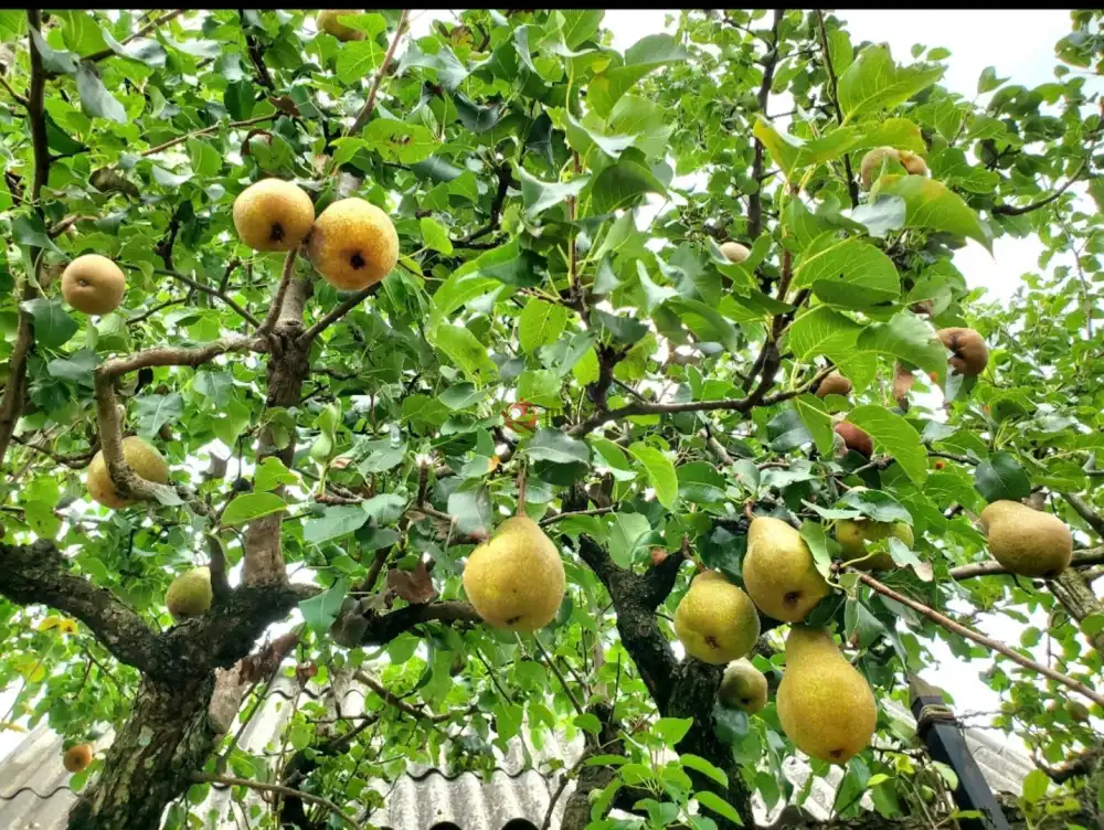 Fejér megye - Dunaújváros