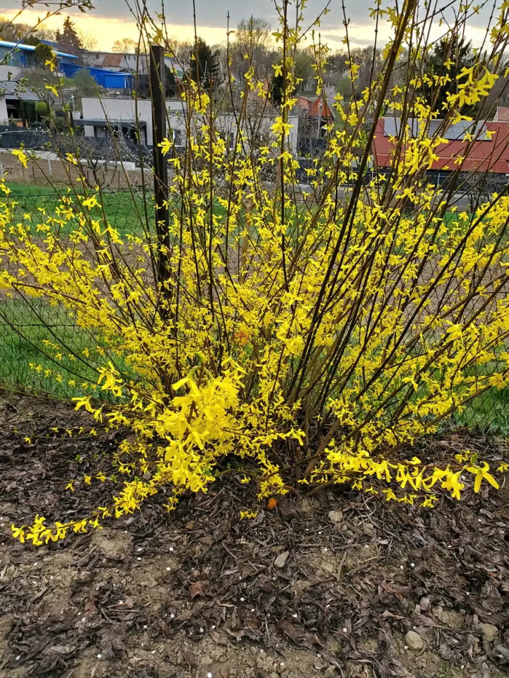 Fejér megye - Dunaújváros