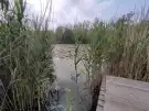 Bács-Kiskun megye - Hercegszántó