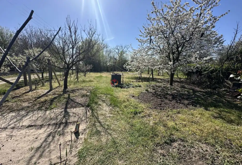 Csongrád megye - Kiskundorozsma
