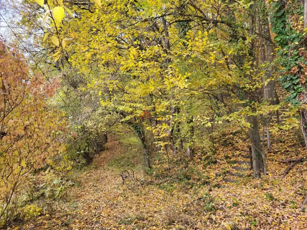 Pest megye - Kismaros