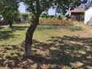 Baranya megye - Lánycsók