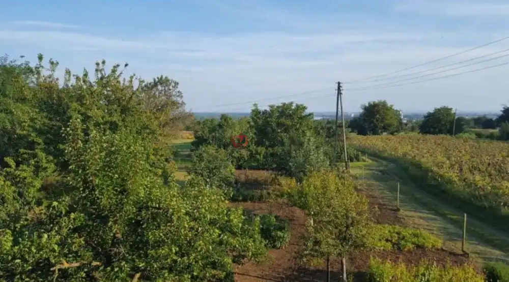 Baranya megye - Mohács
