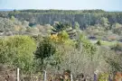 Pest megye - Nagymaros