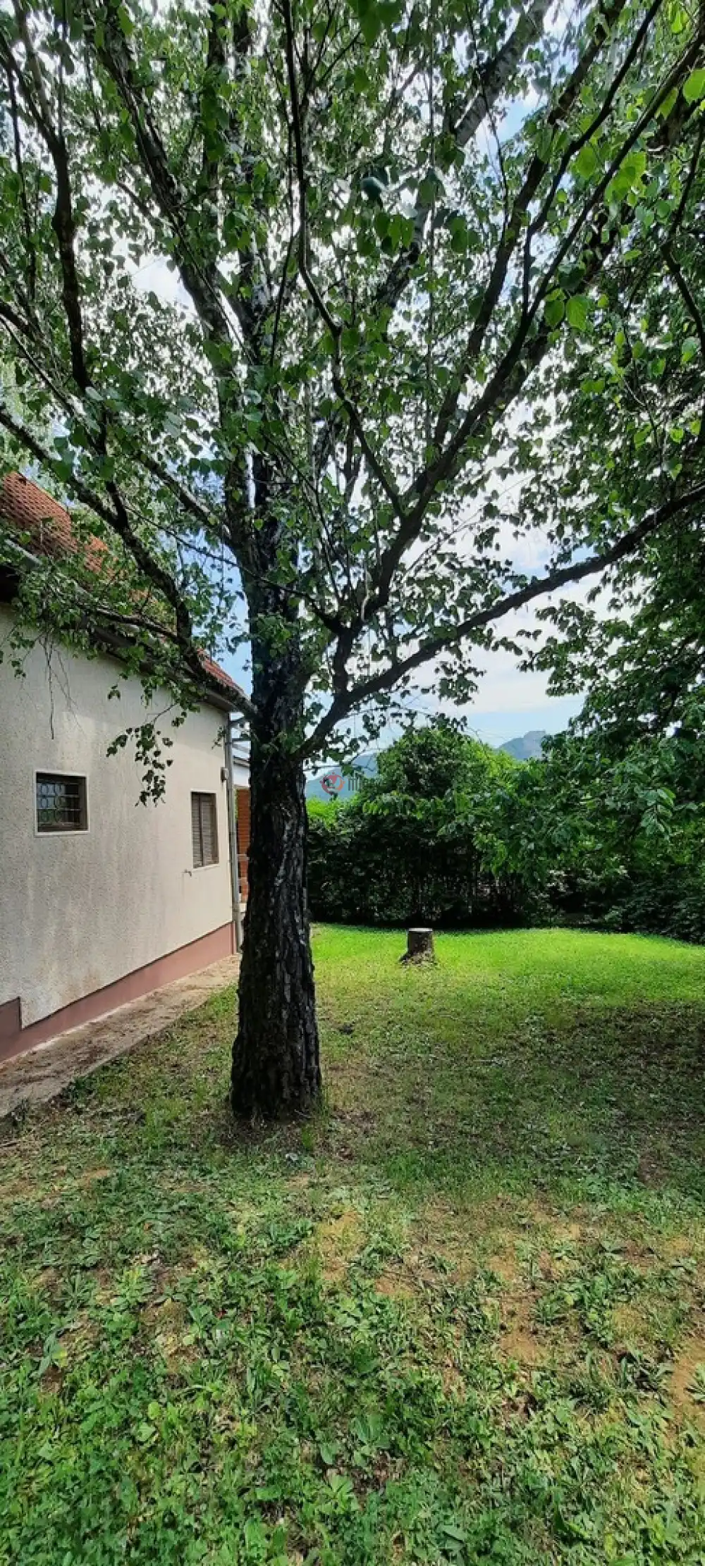 Pest megye - Nagymaros