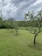 Komárom-Esztergom megye - Oroszlány