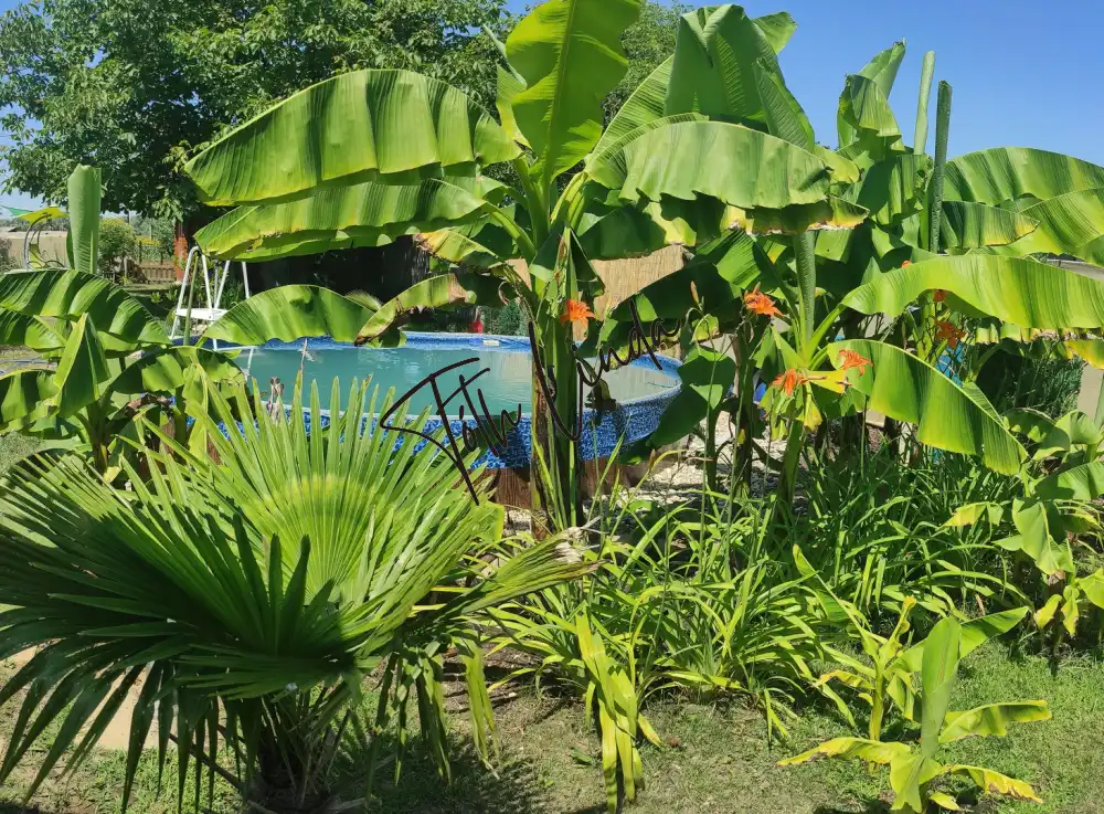 Komárom-Esztergom megye - Oroszlány