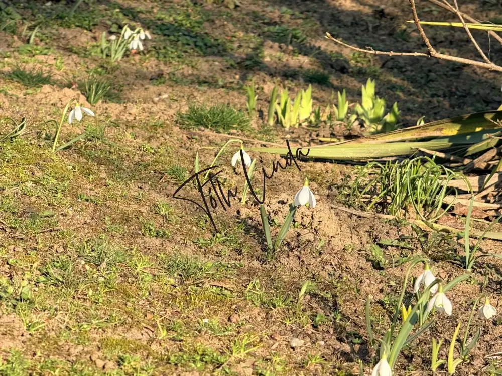 Komárom-Esztergom megye - Oroszlány